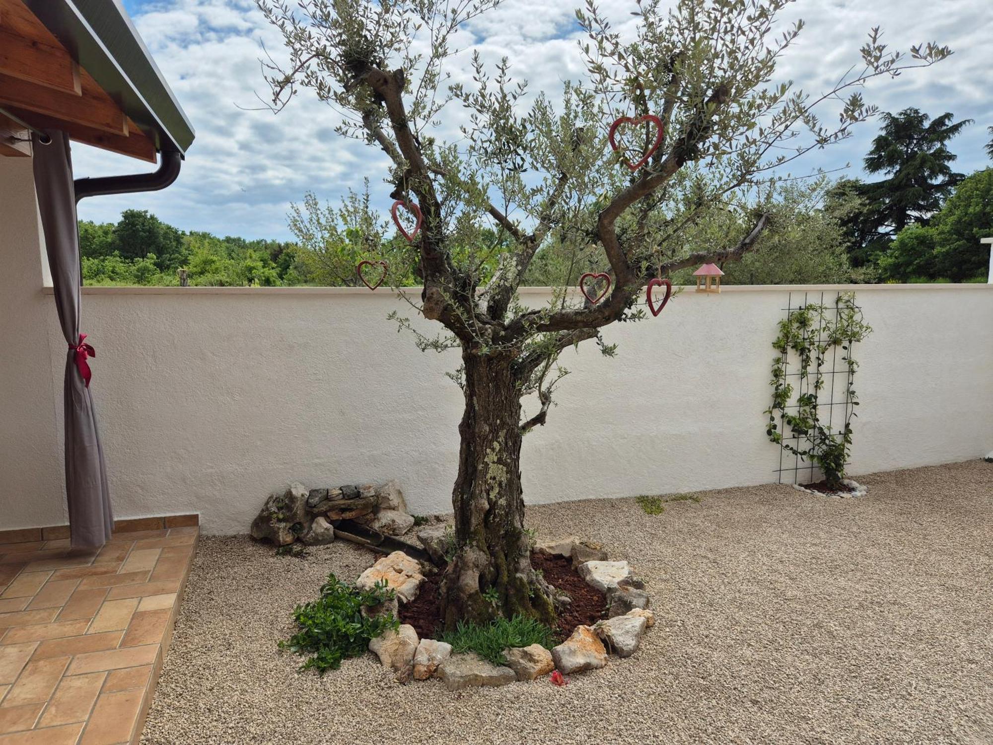 Apartment Vinja Porec - Privat Garden - Whirlpool Esterno foto